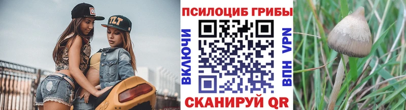 Галлюциногенные грибы GOLDEN TEACHER Высоцк