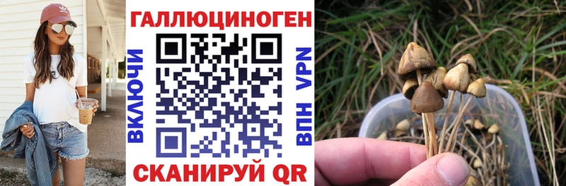 купить закладку  Высоцк  Псилоцибиновые грибы Psilocybe 